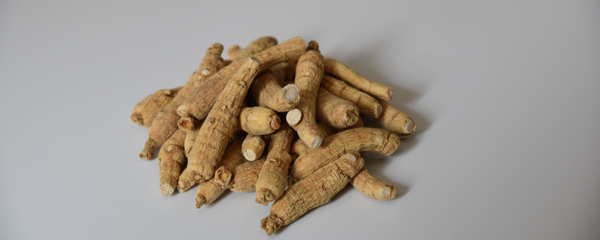 东北产地直销5年生吉林长白山特产散装花旗参包邮批发 西洋参.