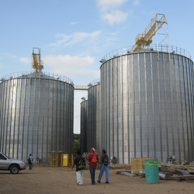 大直径平底粮仓 占地少 储量大 自动化储粮 室外存放 粮食储藏罐