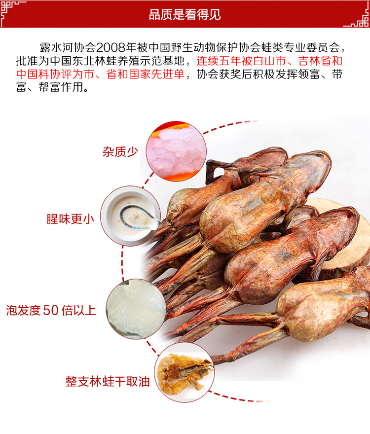 东北长白山特产 活林蛙 批发 供应期当年10月1日起至下年5月1日止