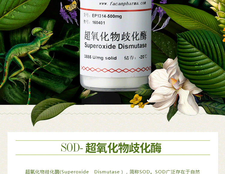 华灿批发 1万酶活保健食品化妆品原料 超氧化物歧化酶