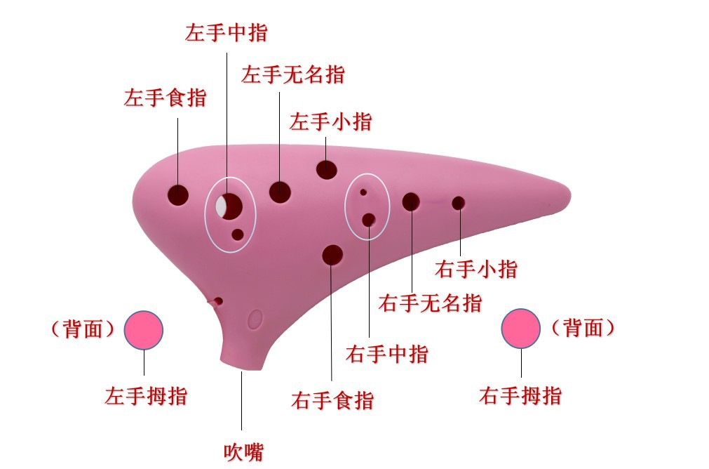 l  名称:  12孔中音ac树脂陶笛 l  简介:采用食品