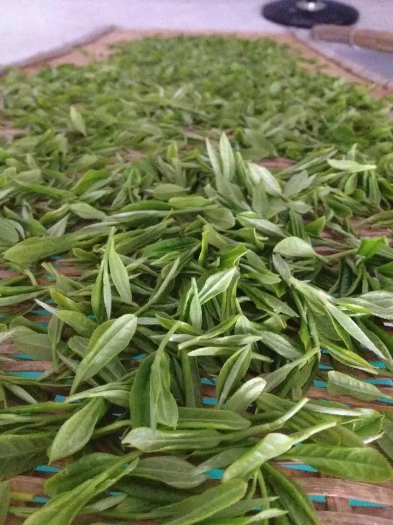 顺茗道福鼎白茶岩韵花香.大美礼盒装500克x2片白牡丹福鼎老白茶 - 食