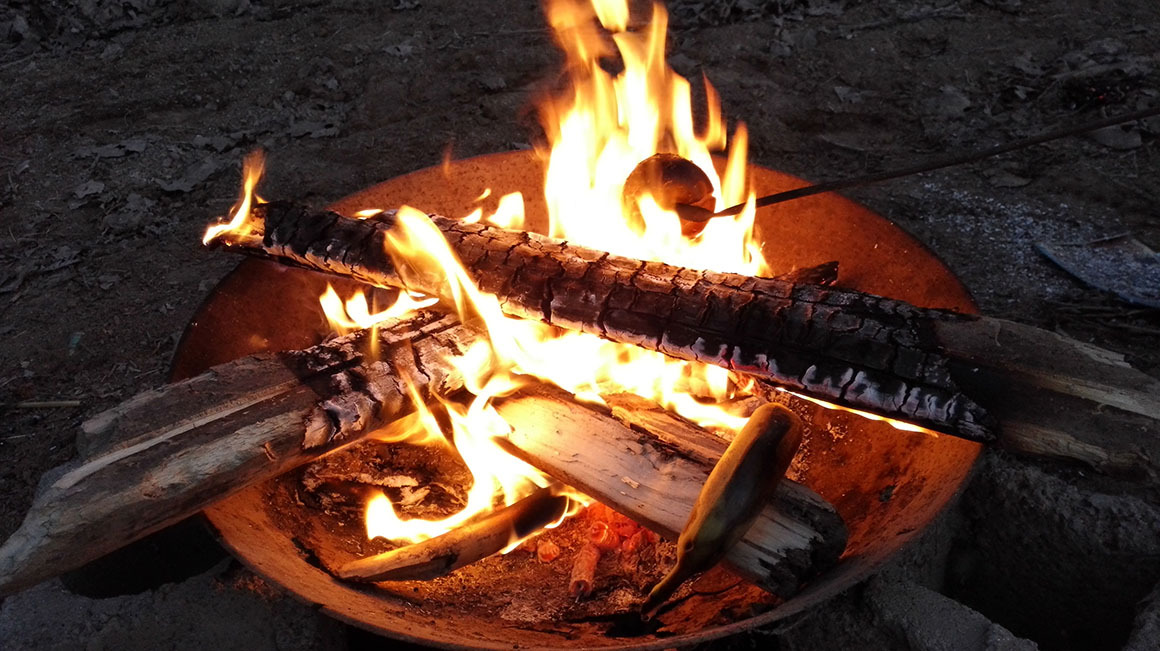 网商感悟# 一样的农村,不一样的新年