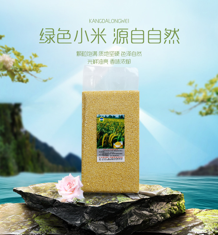 正宗东北特产农家黄小米 真空包装1kg有机小米软糯清甜月子米批发