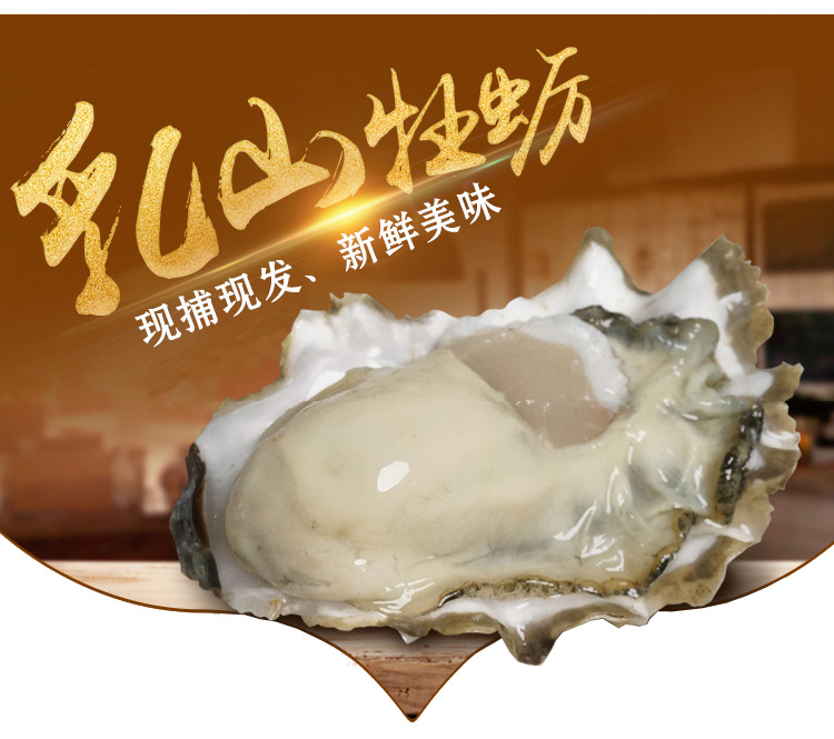 正宗威海乳山鲜活生蚝牡蛎海鲜新鲜贝类带壳海蛎子肉10斤包邮