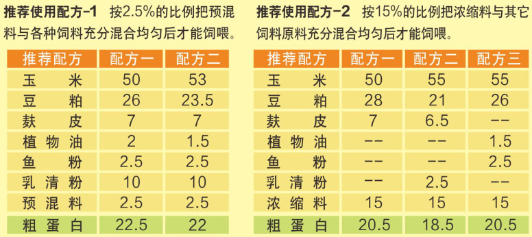 农丰年特别乳猪专用复合预混料 15%猪浓缩料 饲料添加剂