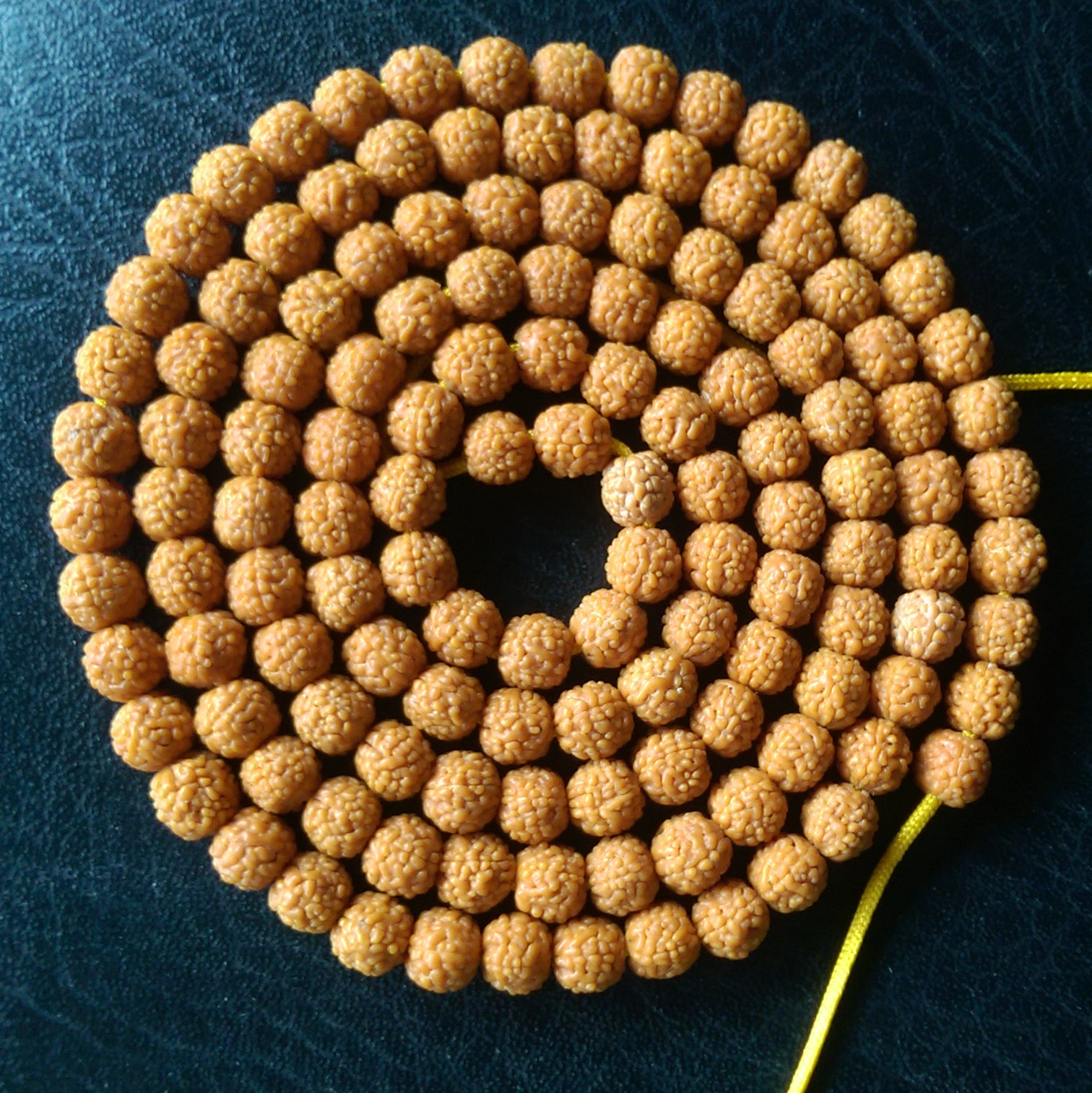 一手货源5瓣 藏式麒麟龙鳞纹小金刚手串 姜黄皮 颗颗沉水一.