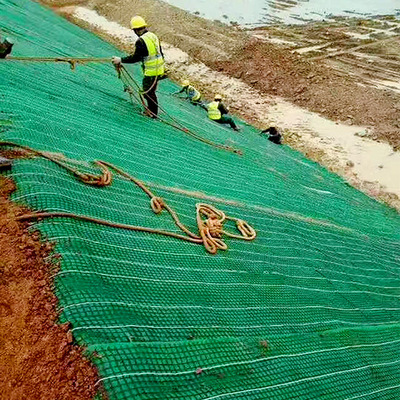 南宁植物纤维毯厂家|植物纤维毯|植草毯护坡
