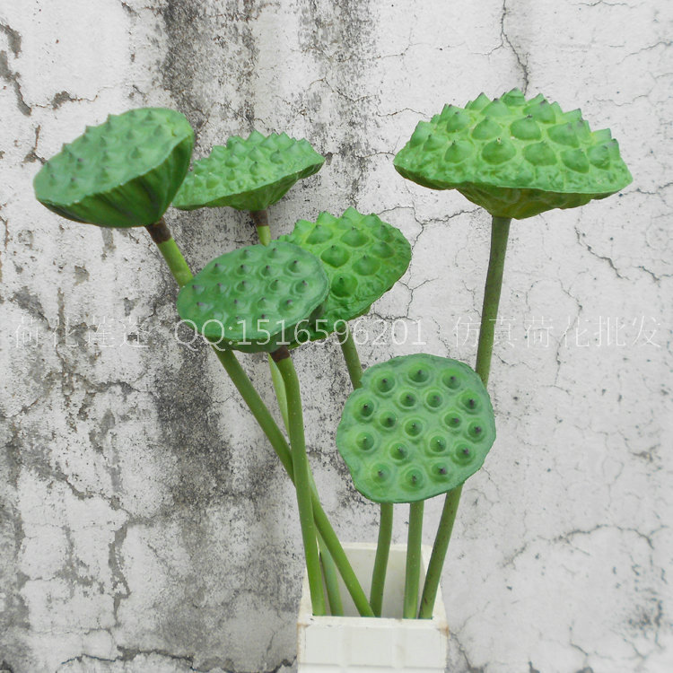 塑料莲蓬组合图 001