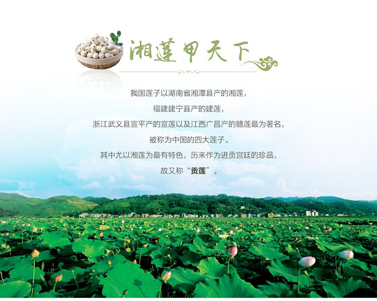 湘潭特色馆详情套版2_01