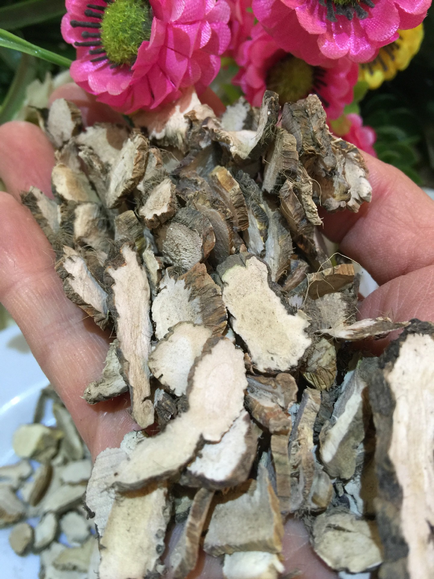 供应中药材优质无硫 石菖蒲 九节菖蒲 山菖蒲 正品