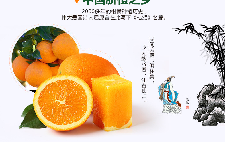湖北秭归脐橙5斤 单果150-240g 新鲜水果橙子 包邮
