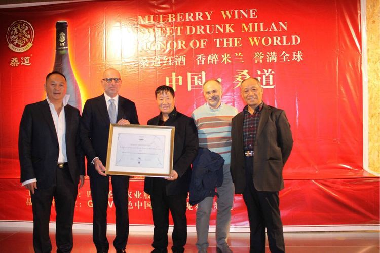 桑道 龙髓级干红桑葚红酒 果酒 养身酒 诚招全国各地代理(私聊)