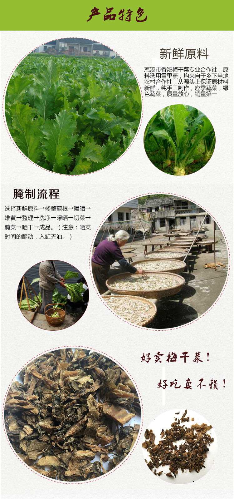 广东梅州梅干菜的制作图片