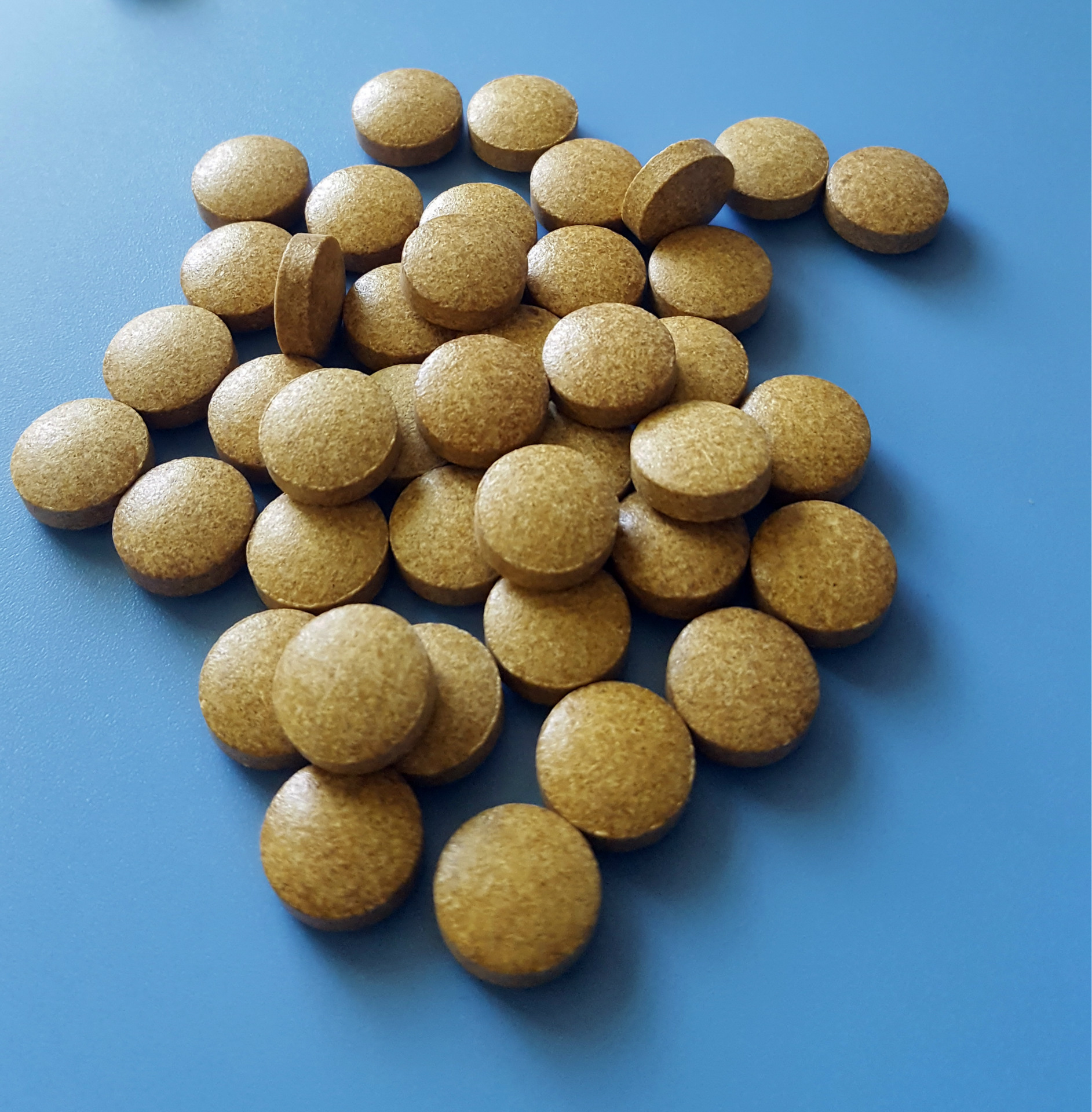 牡蛎片oem委托贴牌代加工生产 牡蛎片oem加工