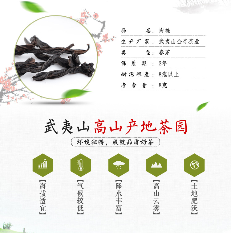 厂家福建武夷山肉桂茶武夷岩茶肉桂乌龙茶大降价散装批