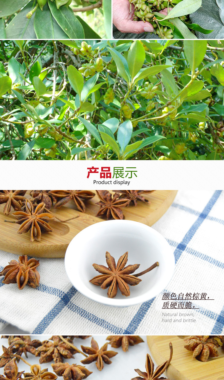 女郎山八角散装食品级干货香料调味品广西大红八角 厂家**