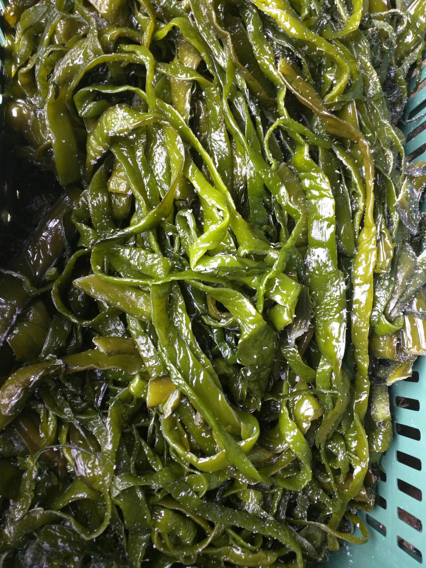 裙带菜出口级裙带菜梗丝海木耳