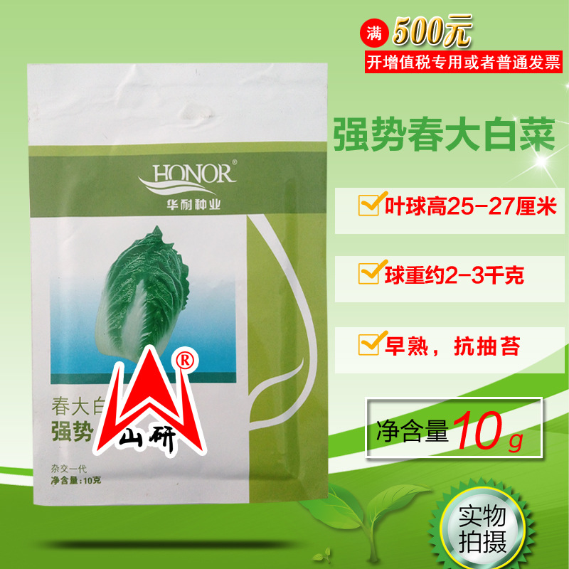 先正达强势春大白菜种子早熟高产杂交一代抢早上市春大白菜种籽孑