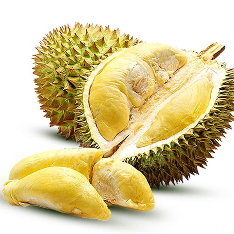 越南干尧榴莲 大量批发供应 厂家直销越南干尧榴莲
