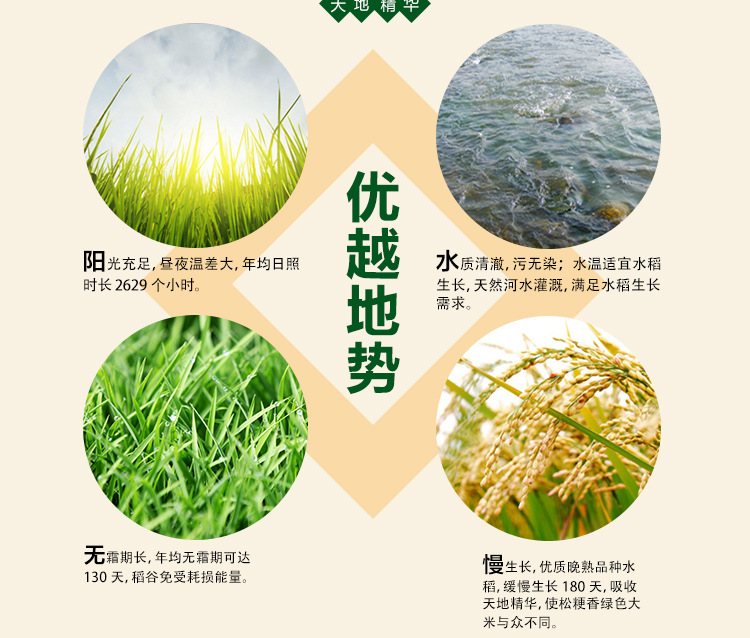 松粳香 稻花香五常大米 真空礼盒5kg东北大米 五常水稻研.