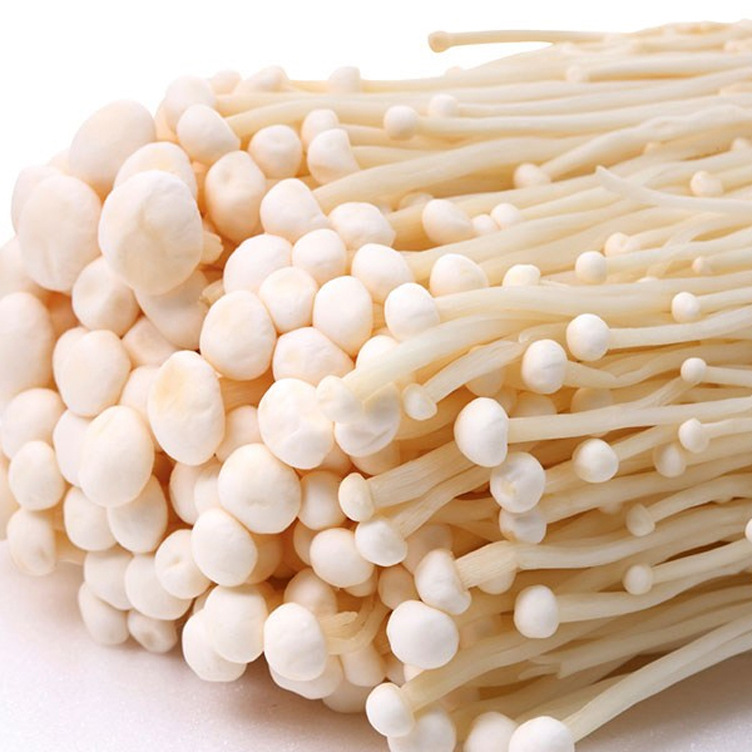 一级新鲜金针菇150克1袋火锅烧烤必备佳品金针菇古田阿古食用菌