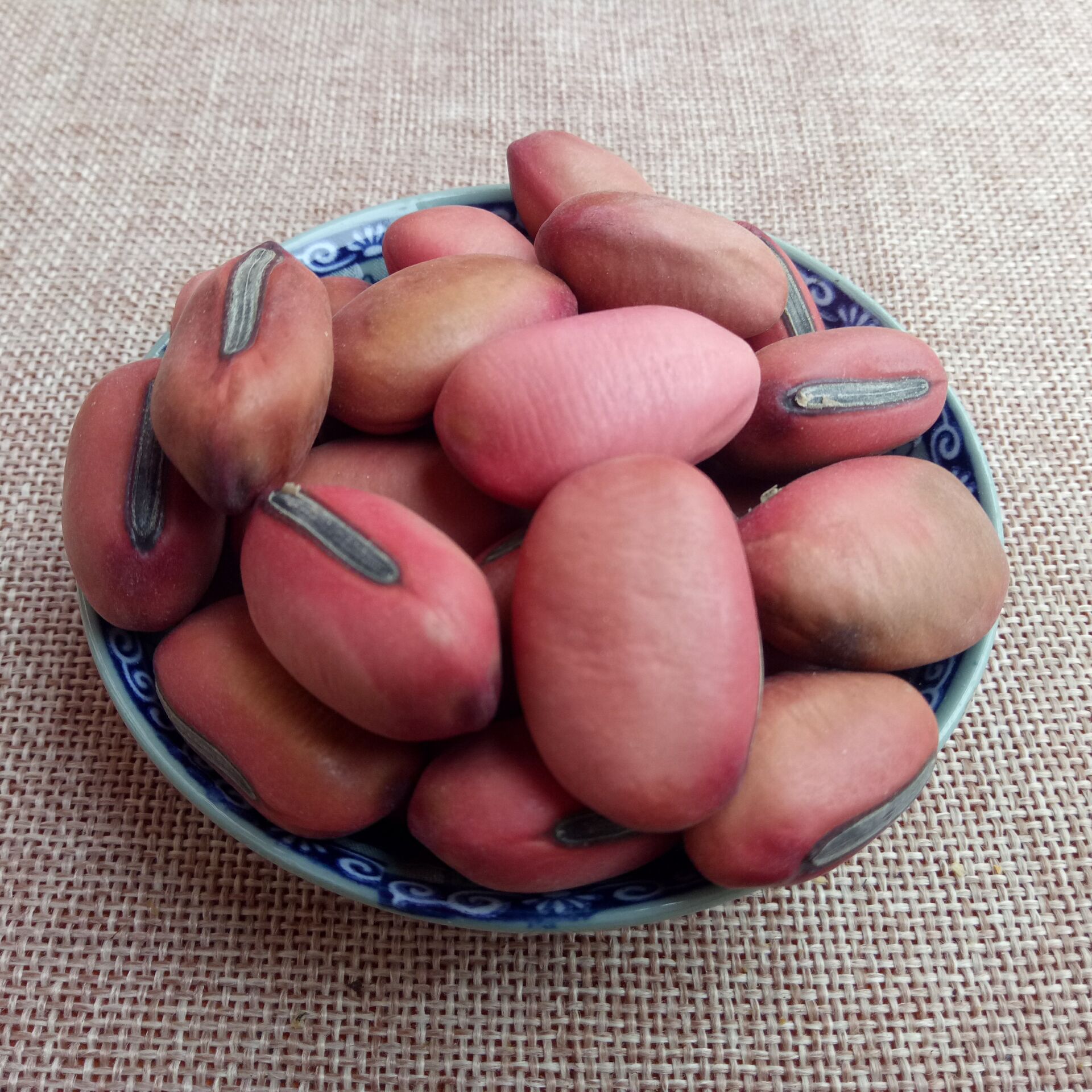 常富供应大刀豆 红刀豆 刀豆子 颗粒饱满 颜色均匀 可工艺品