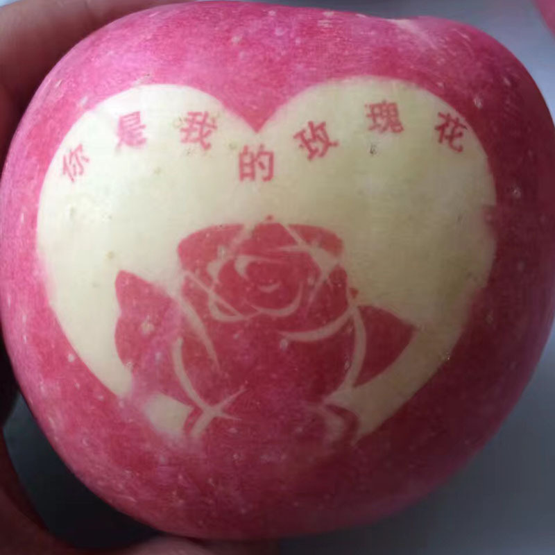 平安果贴字带字苹果8590 平安果圣诞节苹果爱情果批发代发苹果