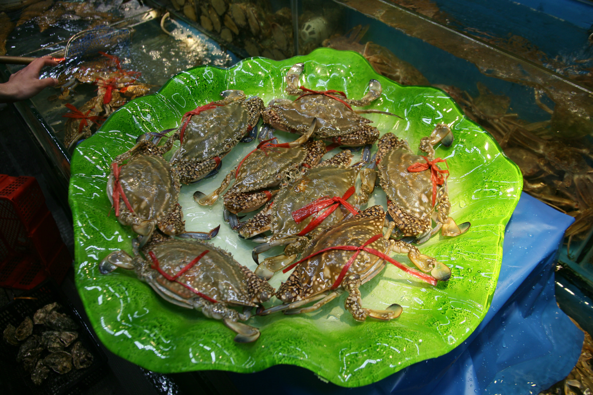 广东冬蟹批发 鲜活大螃蟹 海鲜水产广东螃蟹 - 北京