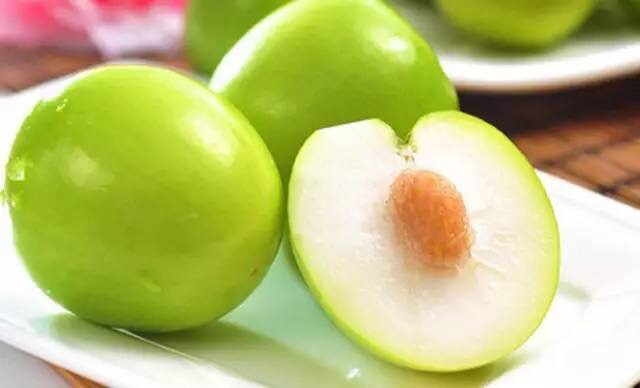 平果大青枣又称牛奶蜜枣,其果实营养丰富,果实鲜食,营养丰富