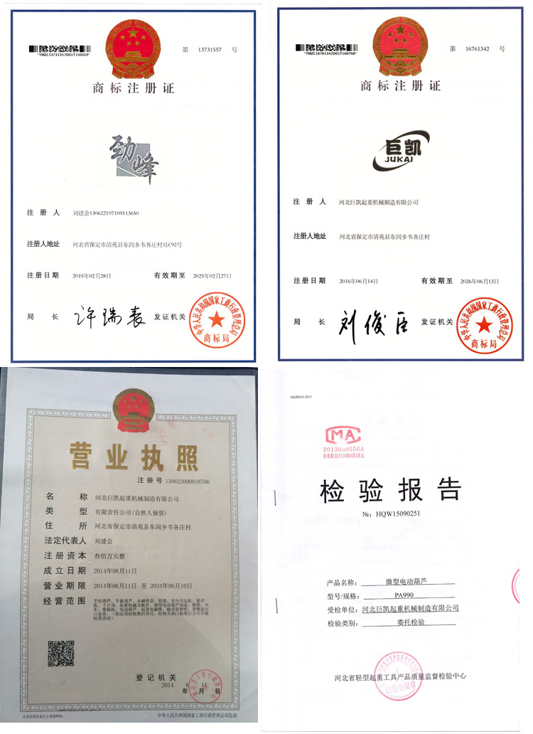批发销售 劲峰牌hs-vt型高性能轻巧3米链条手拉葫芦 10t