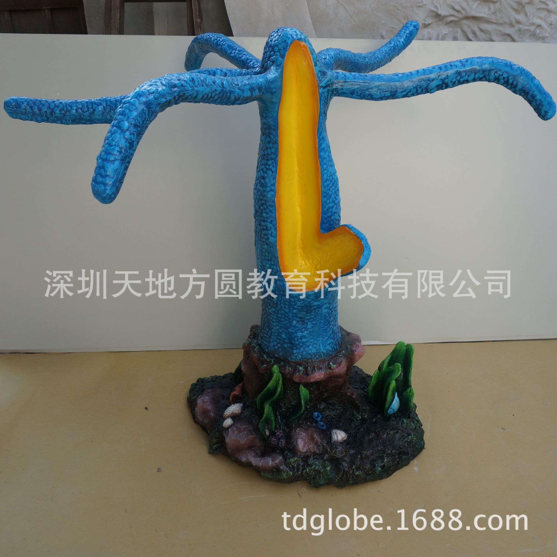 生物园模型 腔肠动物 水螅模型 学校生物园生态馆科普馆展品-阿里巴巴