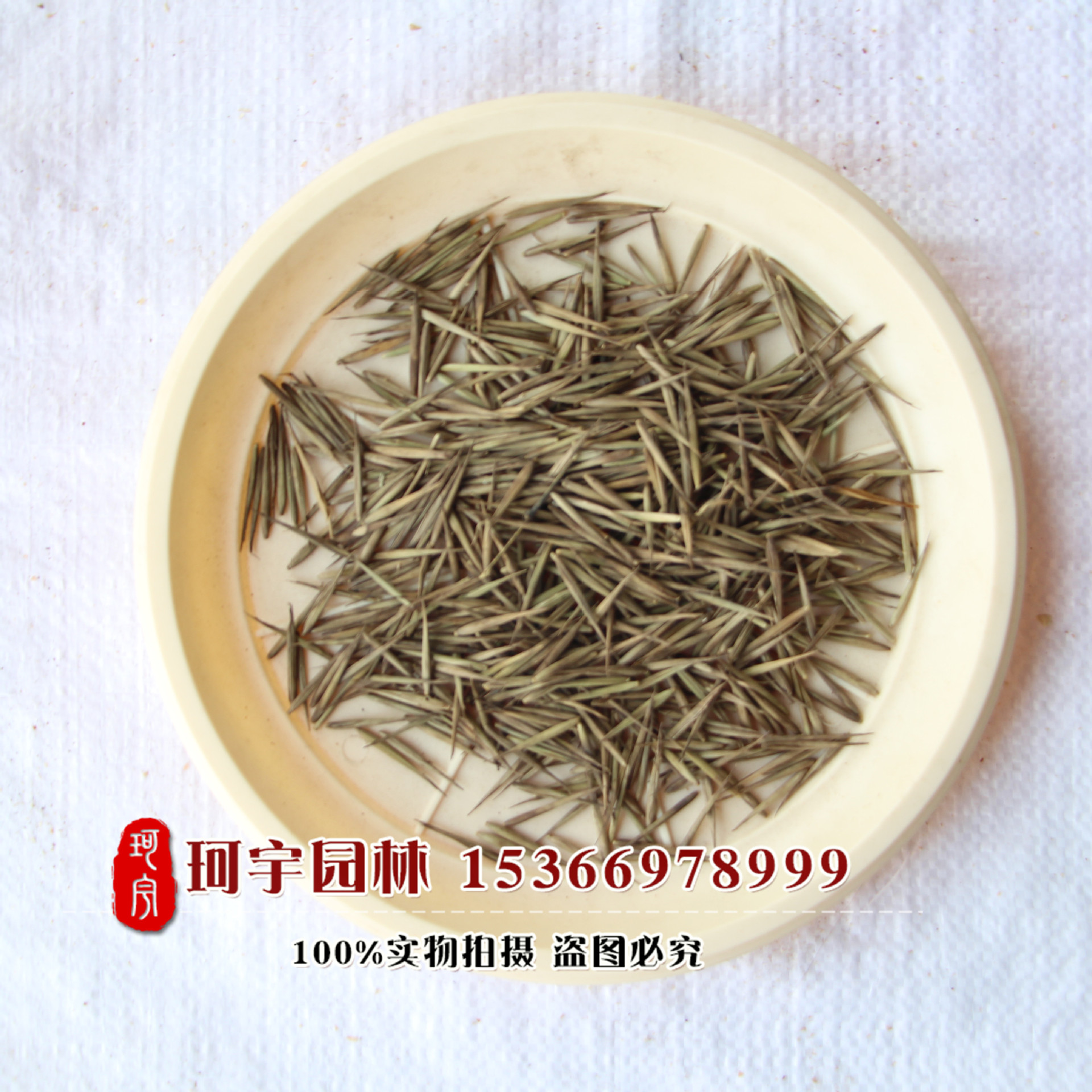 厂家直销竹子种子 楠竹 毛竹种子 发芽率高 生长快 当年新种子 - 农药