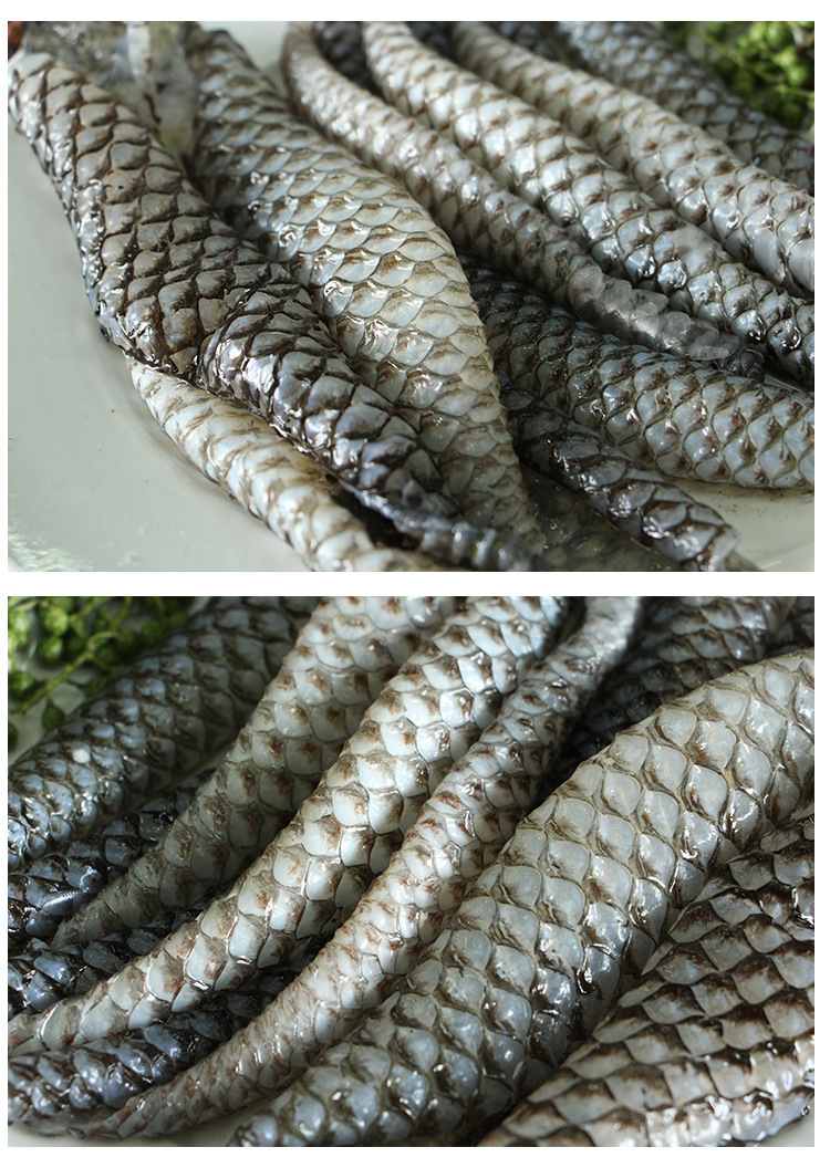 新鲜特色冷冻鱼皮  众鑫旺食品批发 优质精品火锅,中餐等食材