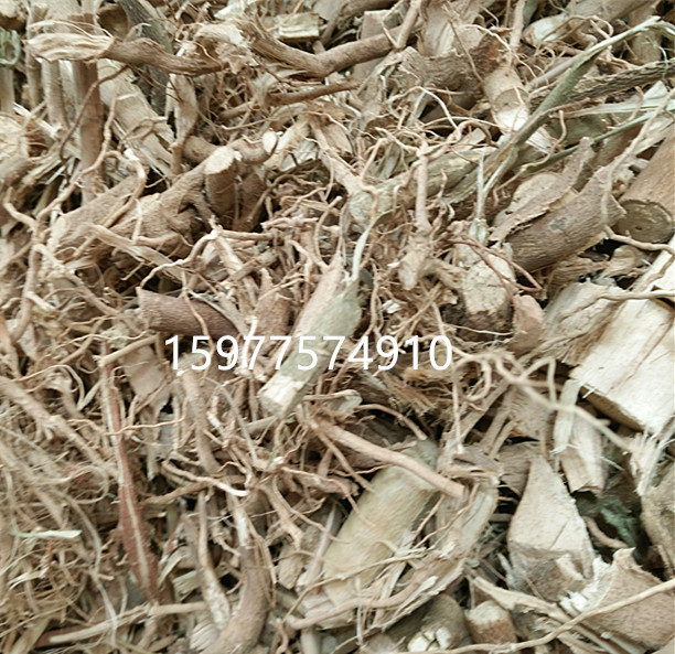 正品野生中药材磨盘根 磨盘草根 磨盆根 磨盆草根帽仔盾头