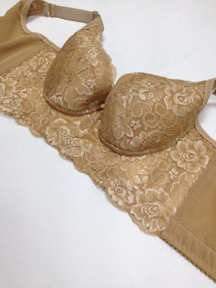 薄杯五排扣文胸 蕾丝花边金色胸罩 高贵