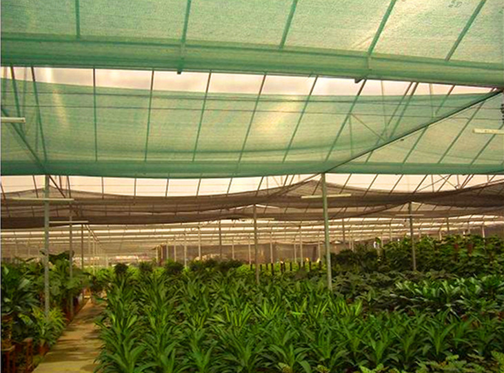 防尘施工盖土网 3针绿色8m铺地网现货