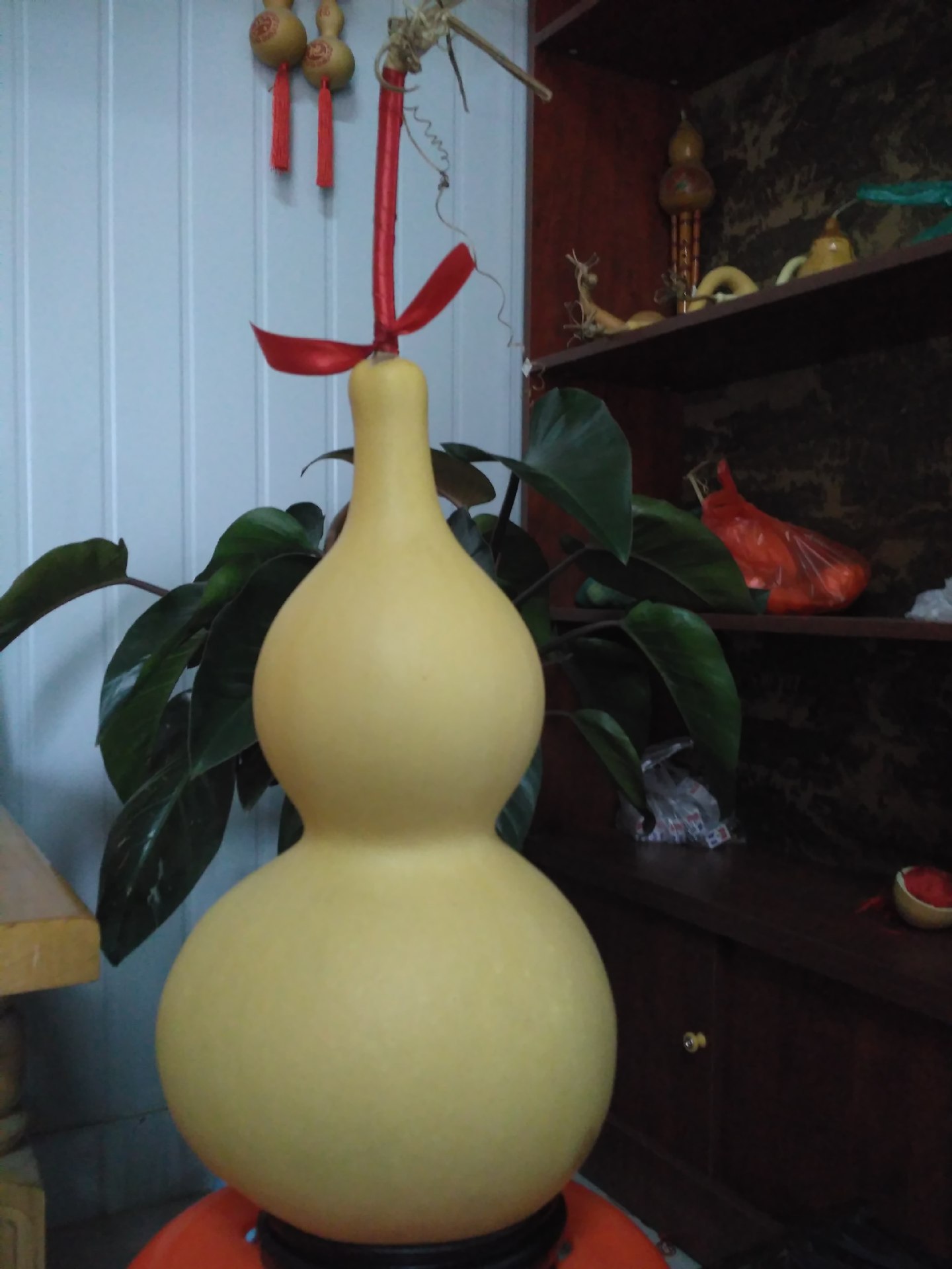 葫芦天然大葫芦亚腰中号素葫芦批发高度30-50厘米