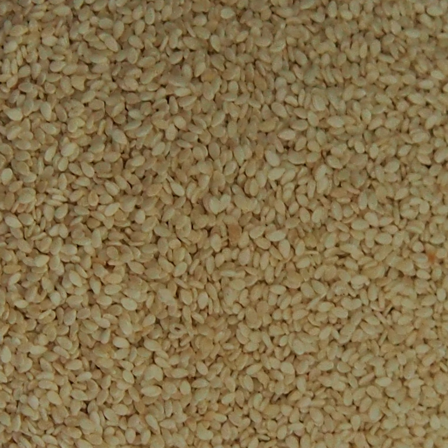 四川厂家1级脱皮白芝麻低价促销脱皮白芝麻增效剂调