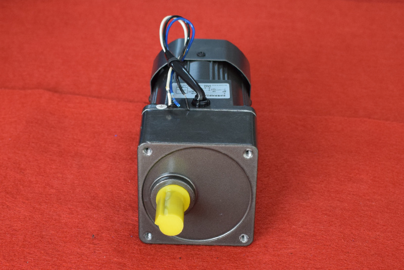 厂家直销220v单相微型电机 微型齿轮调速马达