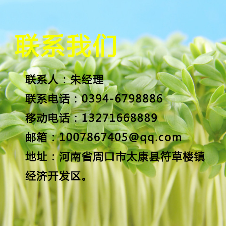 芽菜生长机器设备自动控温豆芽机械 大产量豆芽机 日产2000市斤