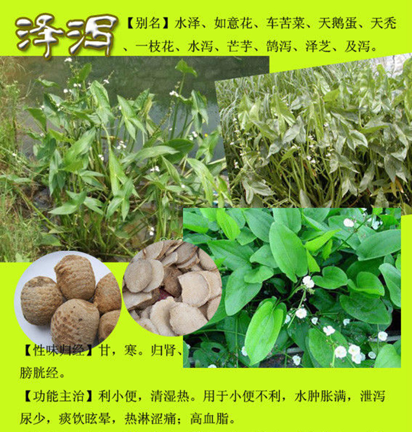 厂家供应 大量更优惠 泽泻提取物