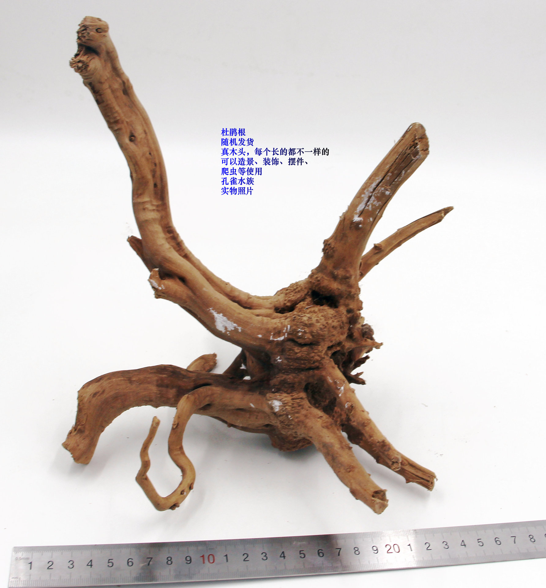 造景树根鱼缸沉木装饰流木水族布景木头朽木天然树根鱼缸艺术摆件