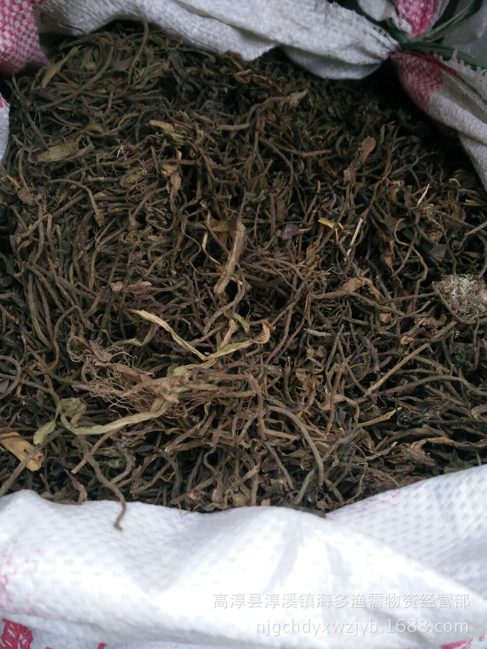 苦草 扁担草 水韭菜 鸭舌草 养殖螃蟹龙虾沉水水草种子水生植物