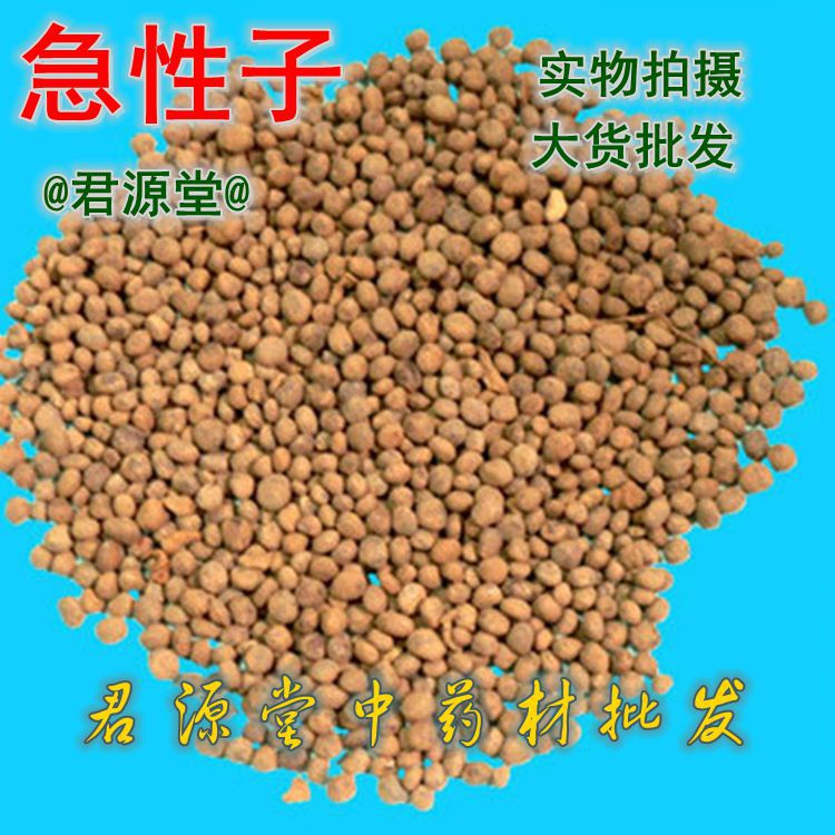 中药材 急性子 凤仙花子