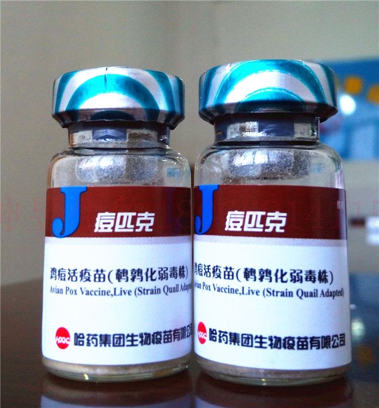 哈药痘匹克 鸡痘活疫苗 鹌鹑化弱毒株 翅膀下刺种 1000羽份/瓶