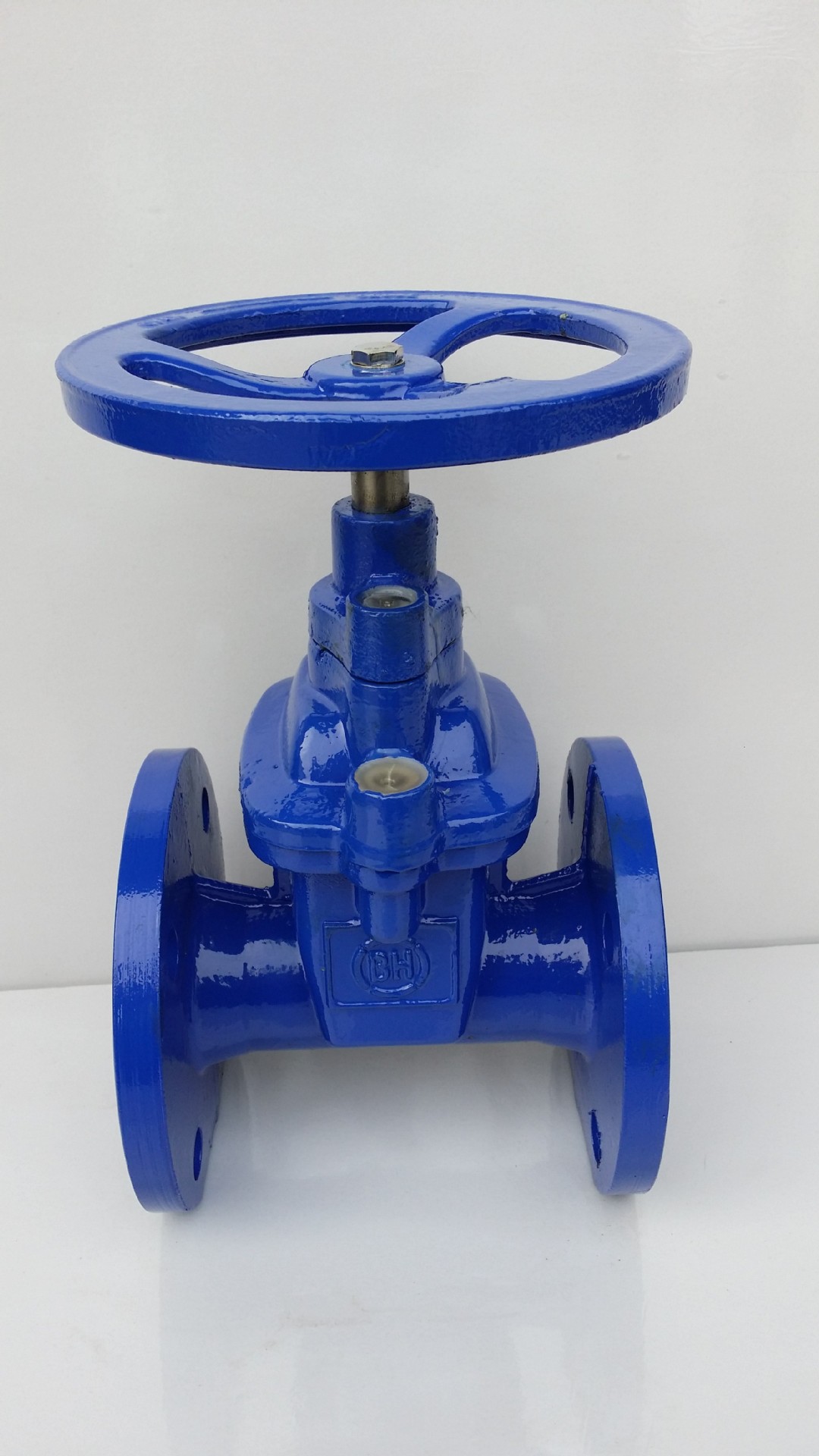 dn50优质暗杆软密封闸阀 厂家直销