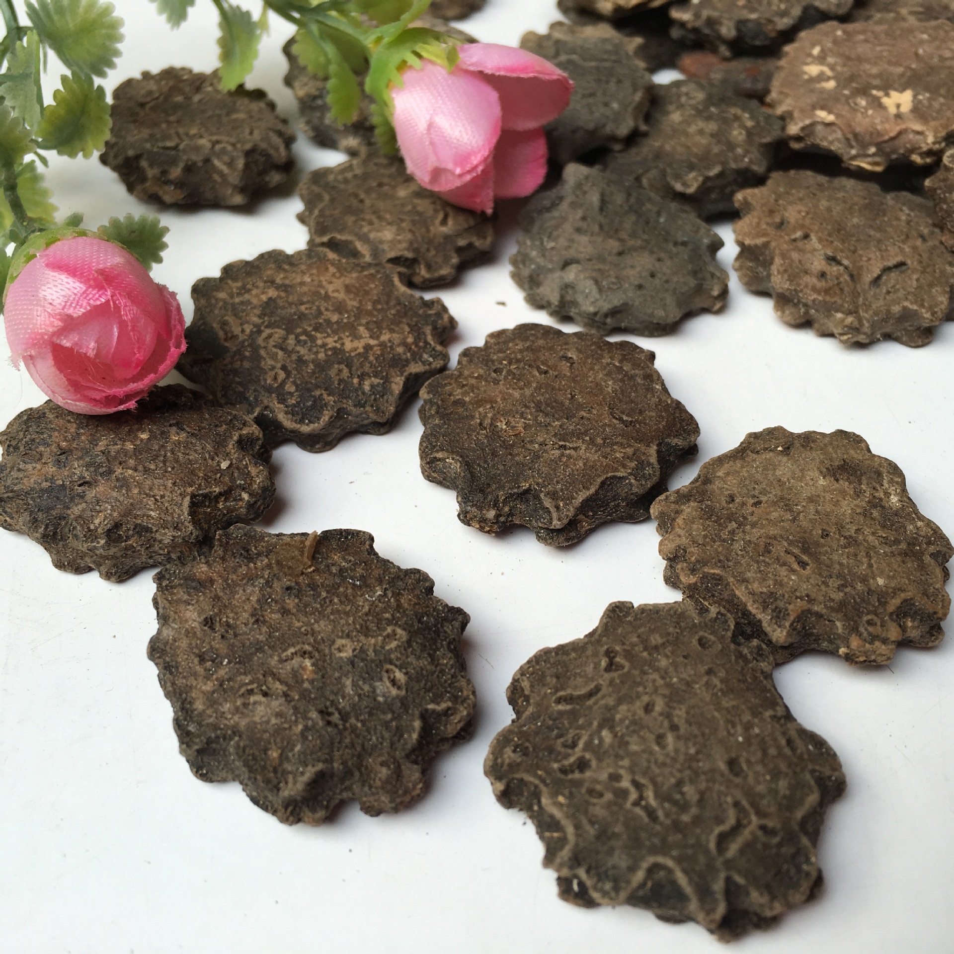 批发供应中药材 木鳖子 散装 漏苓子 木鳖子