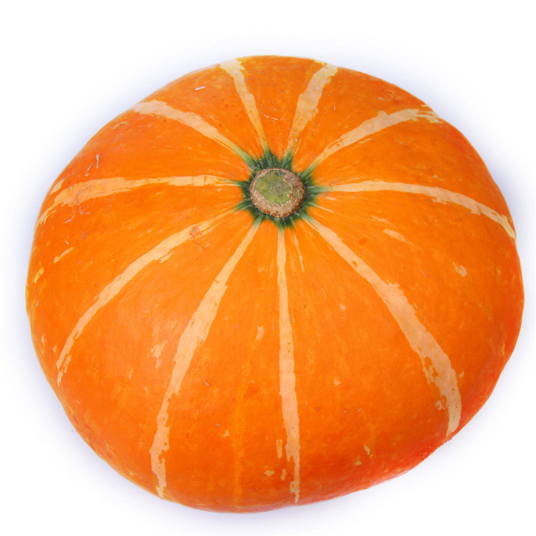 金丝南瓜 绿色新鲜蔬菜 北京发货 南瓜灯原材料手工自作南瓜灯