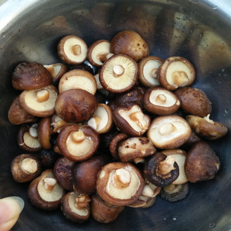 8-2香菇仔 干货食用菌山珍花菇丁 产地大量供应